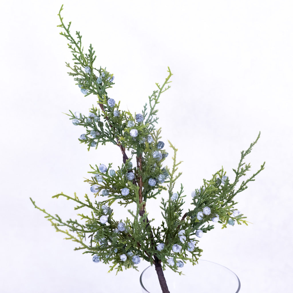 Juniper Spray with Berries Stem Branches Designs