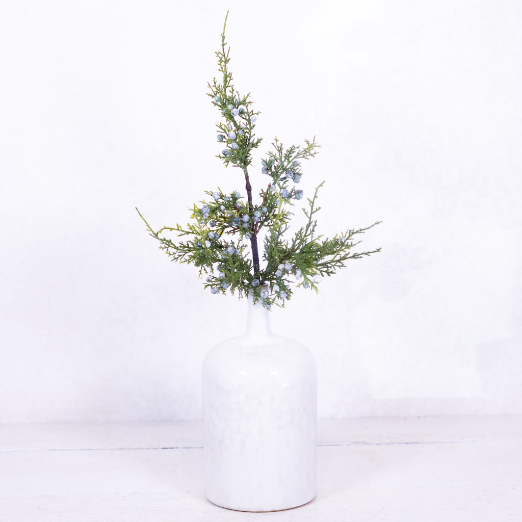 Juniper Spray with Berries Stem Branches Designs
