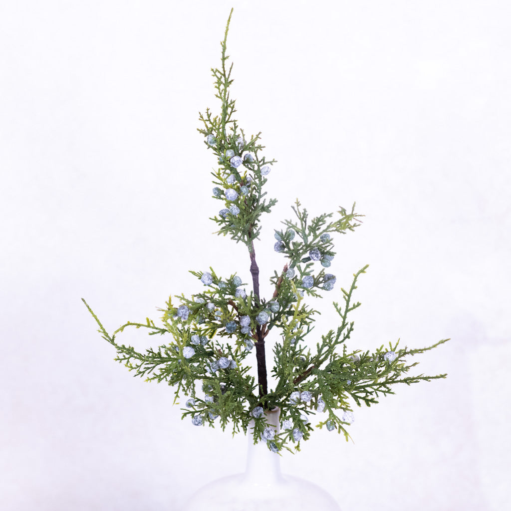 Juniper Spray with Berries Stem Branches Designs