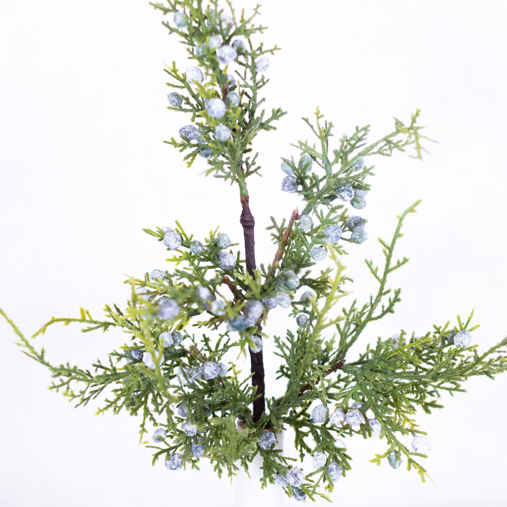 Juniper Spray with Berries Stem Branches Designs
