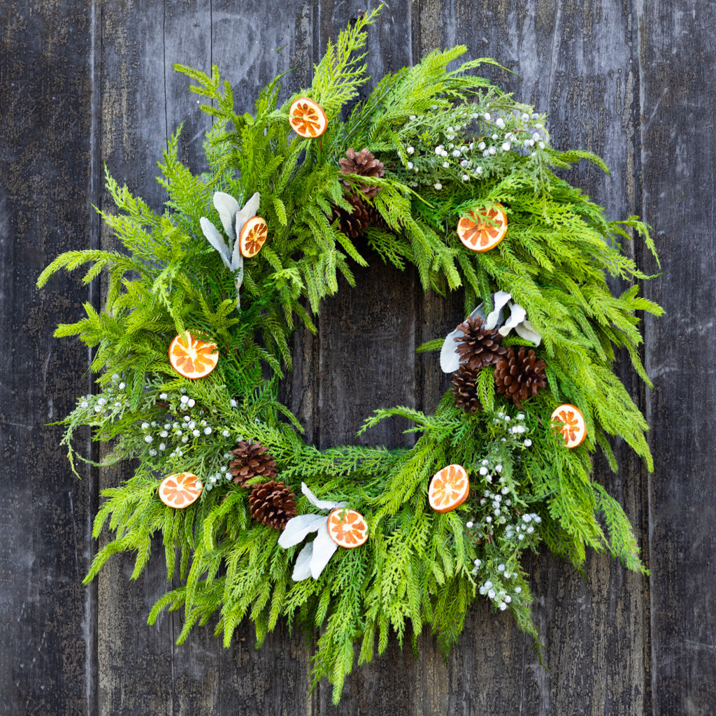 Orange Grove Evergreen Wreath Branches Designs