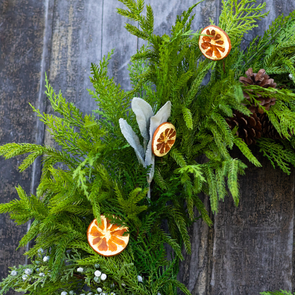 Orange Grove Evergreen Wreath Branches Designs