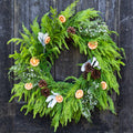 Orange Grove Evergreen Wreath Branches Designs