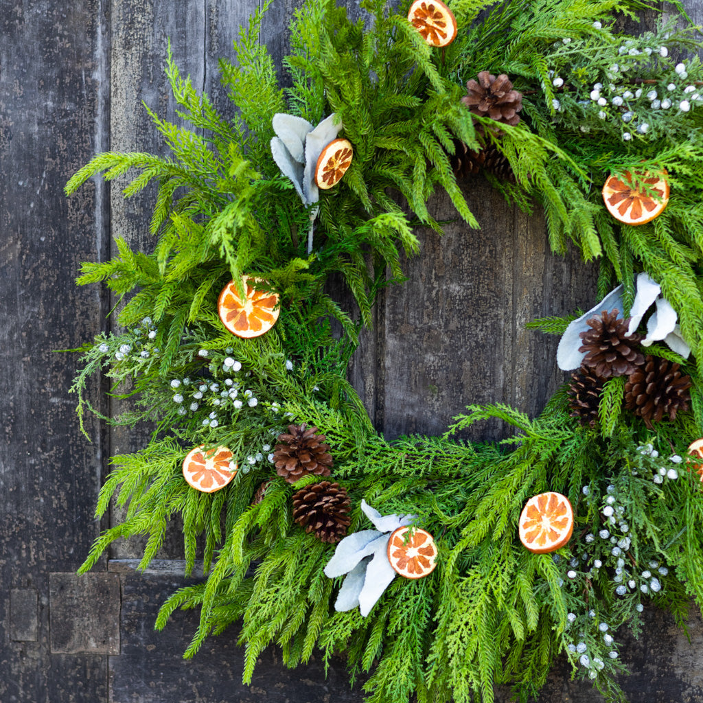 Orange Grove Evergreen Wreath Branches Designs