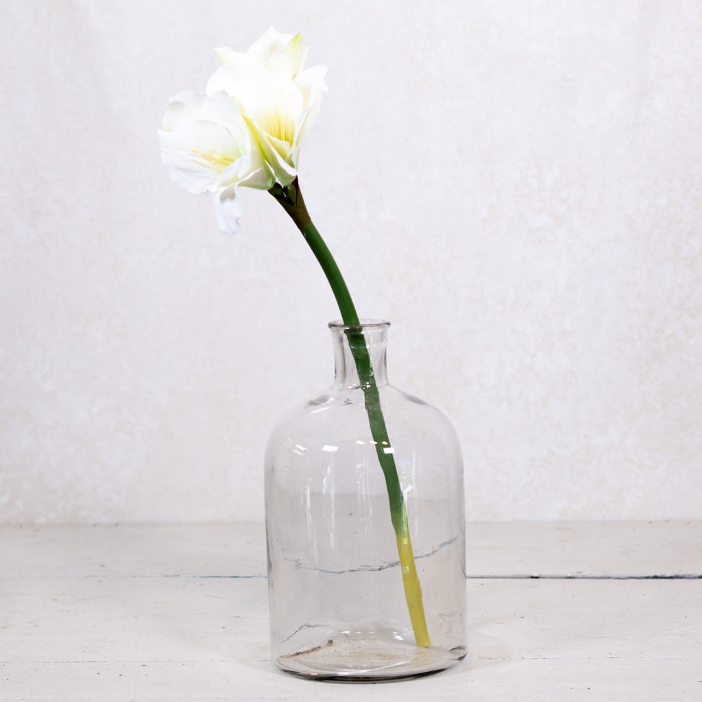 Amaryllis White Green Stem Branches Designs
