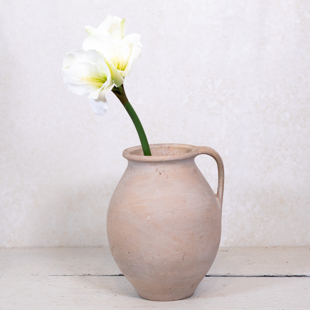 Amaryllis White Green Stem Branches Designs