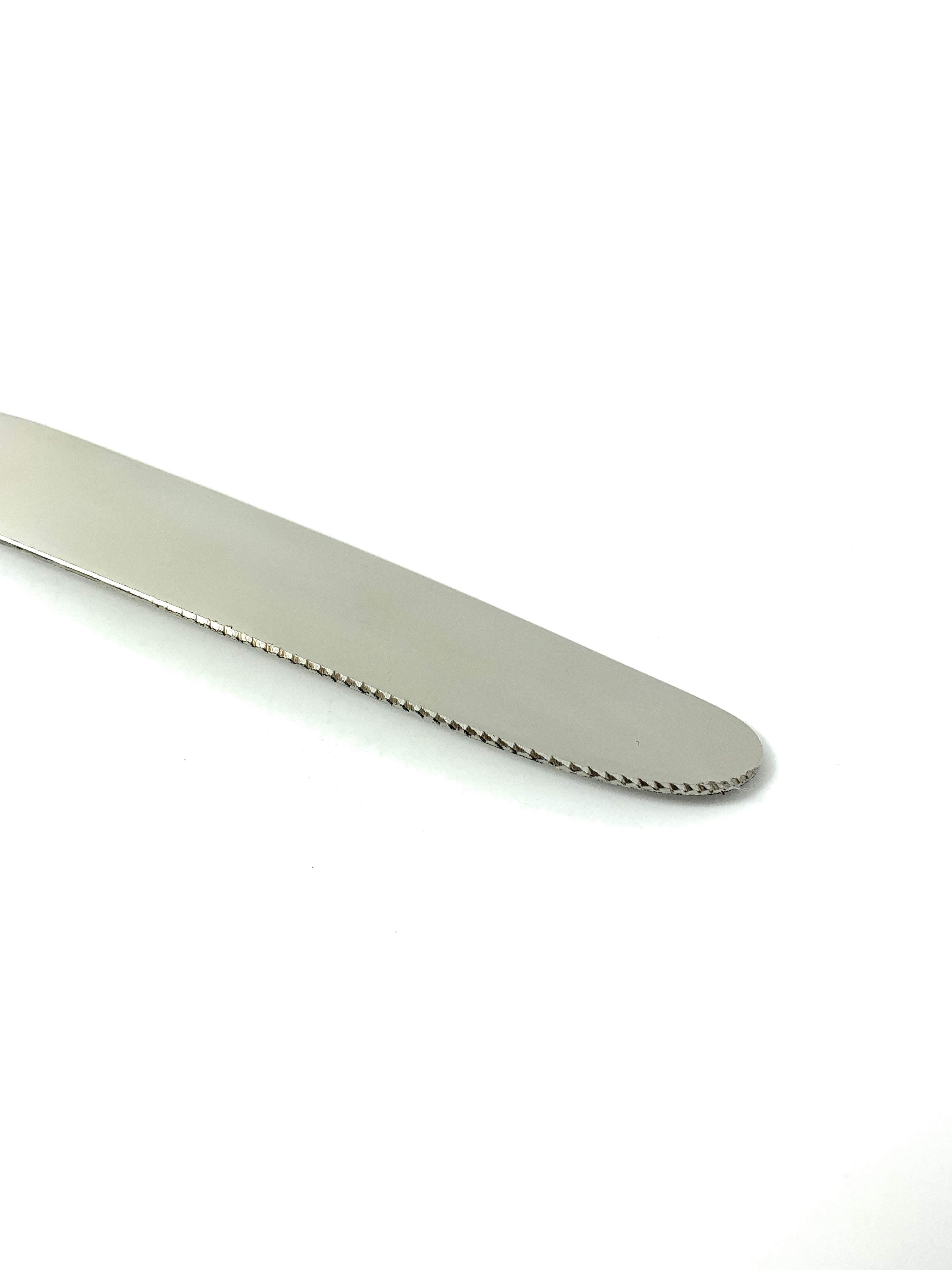 Vibhsa Golden Silverware Dinner Knives set of 6 Vibhsa