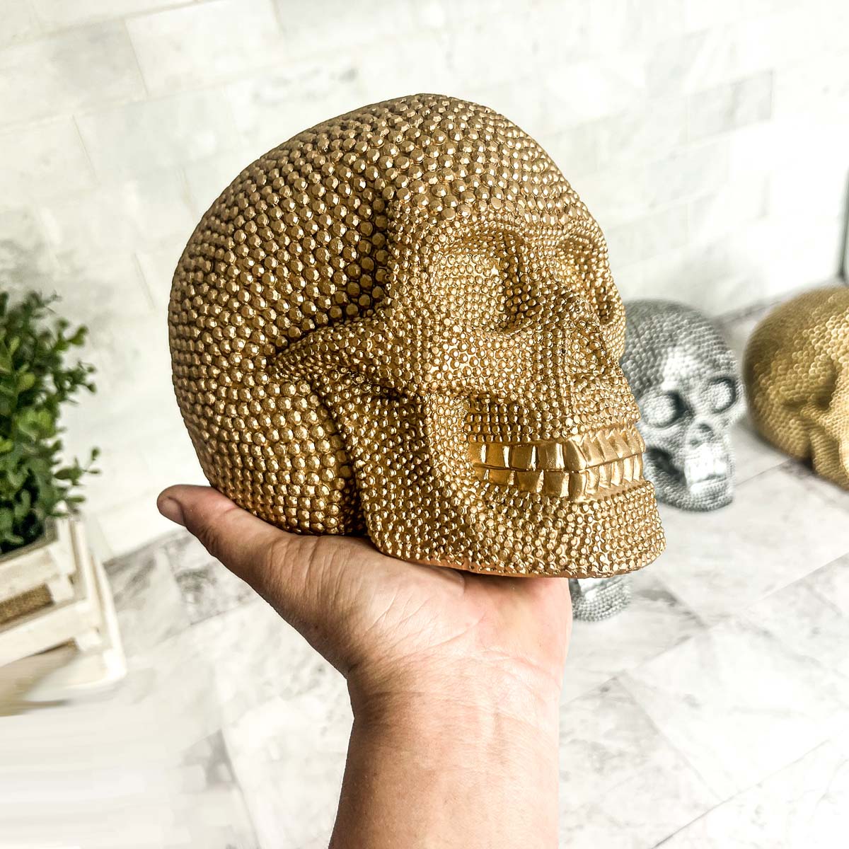 Resin Skull Gia Roma