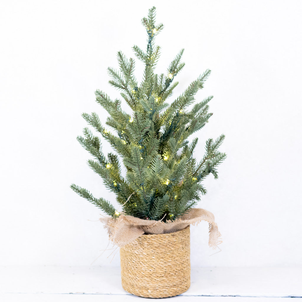 2 ft. Pre Lit Spruce Tree in Potted Burlap Branches Designs