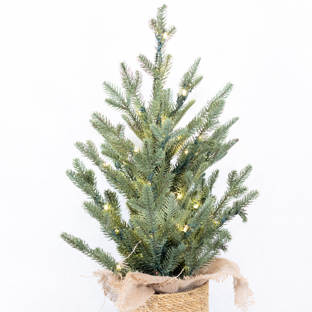 2 ft. Pre Lit Spruce Tree in Potted Burlap Branches Designs