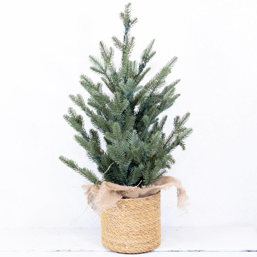 2 ft. Pre Lit Spruce Tree in Potted Burlap Branches Designs
