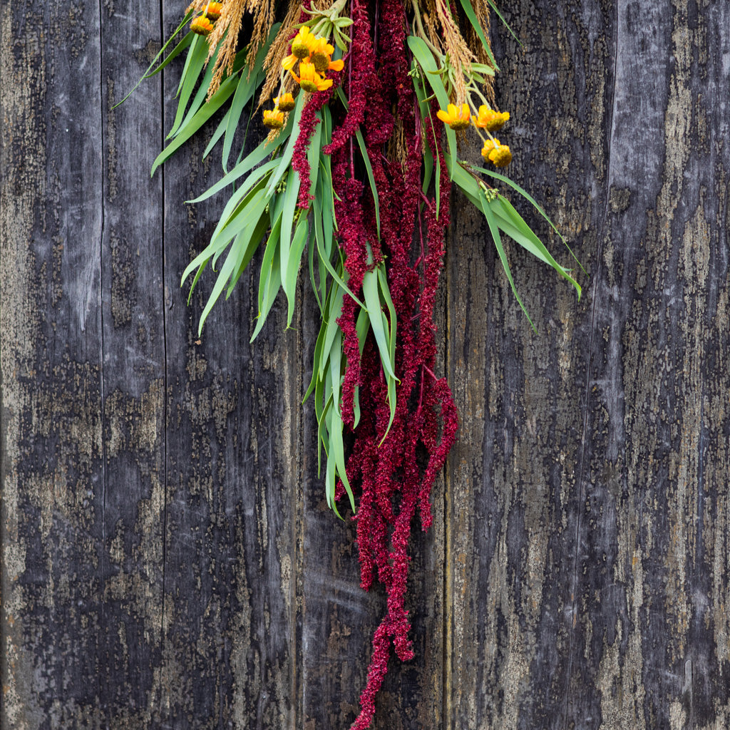 Sunflower Harvest Down Drop Branches Designs
