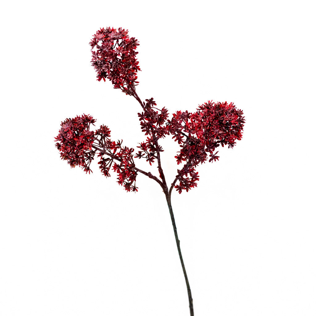 Wine Viburnum Spray Branches Designs