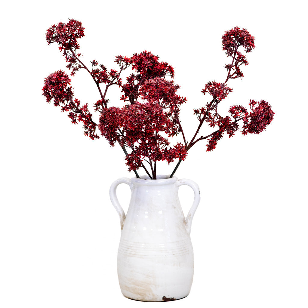 Wine Viburnum Spray Branches Designs