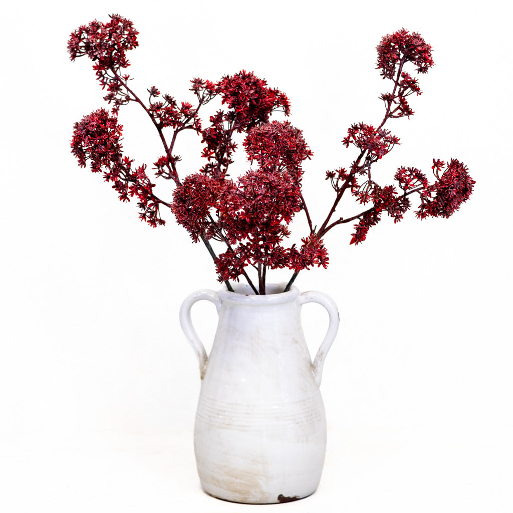 Wine Viburnum Spray Branches Designs