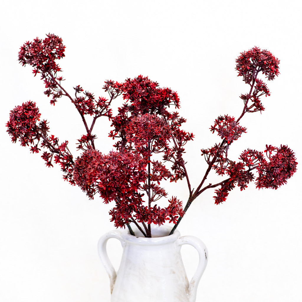 Wine Viburnum Spray Branches Designs