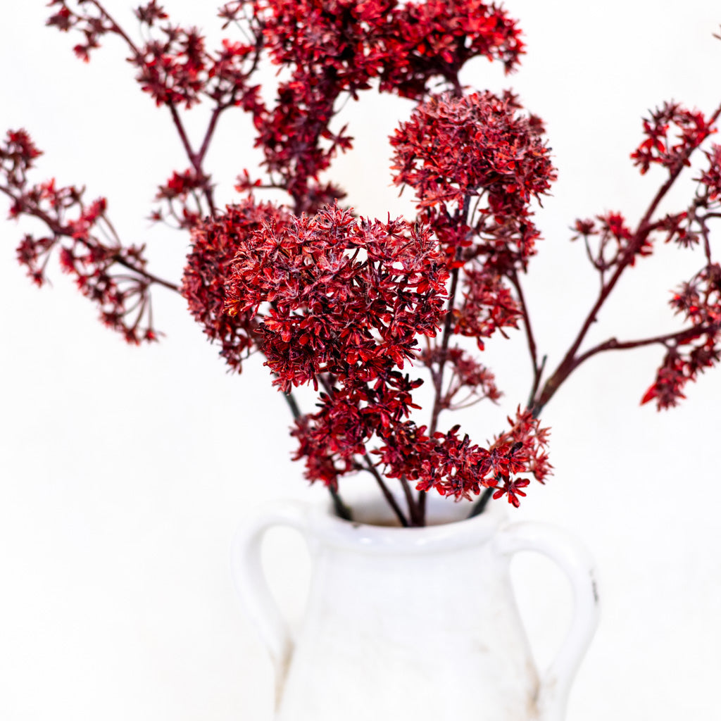 Wine Viburnum Spray Branches Designs