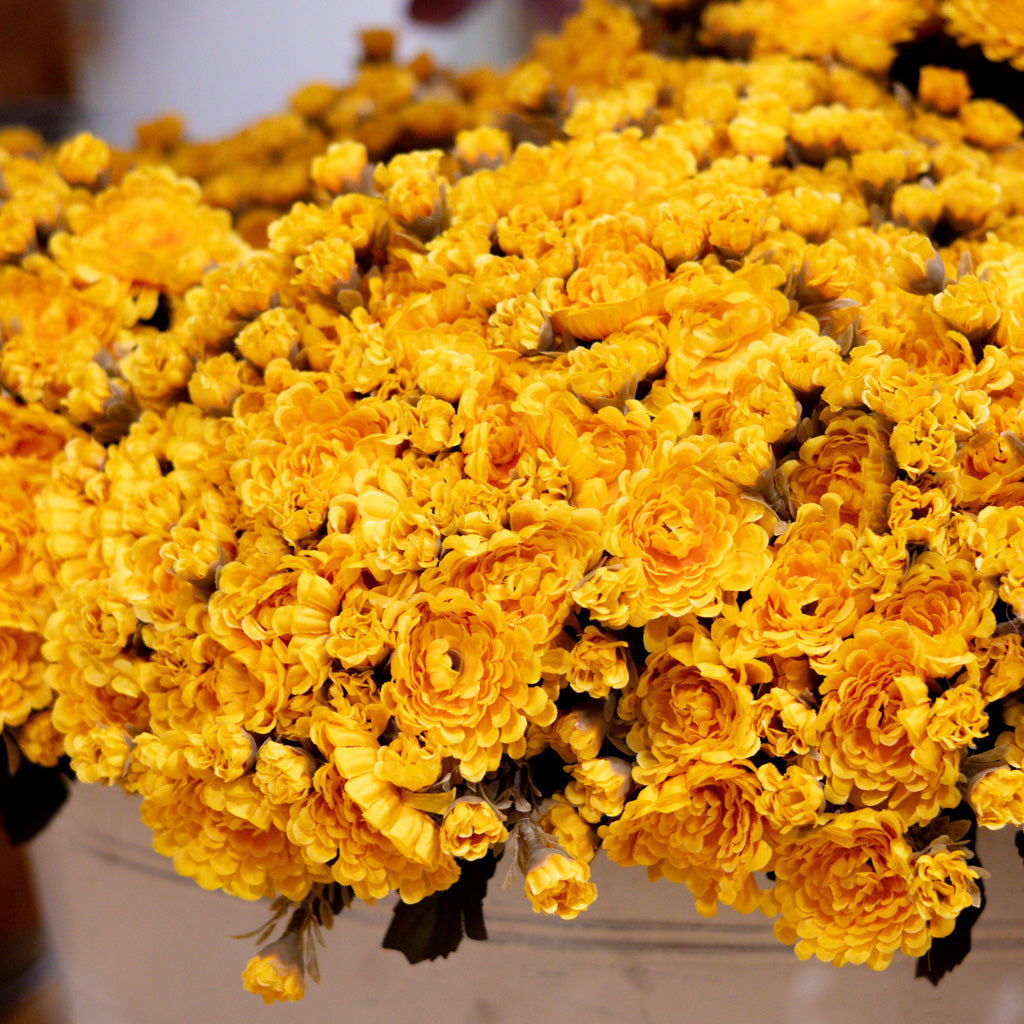 Gold Yellow Mum Bush Stem Branches Designs