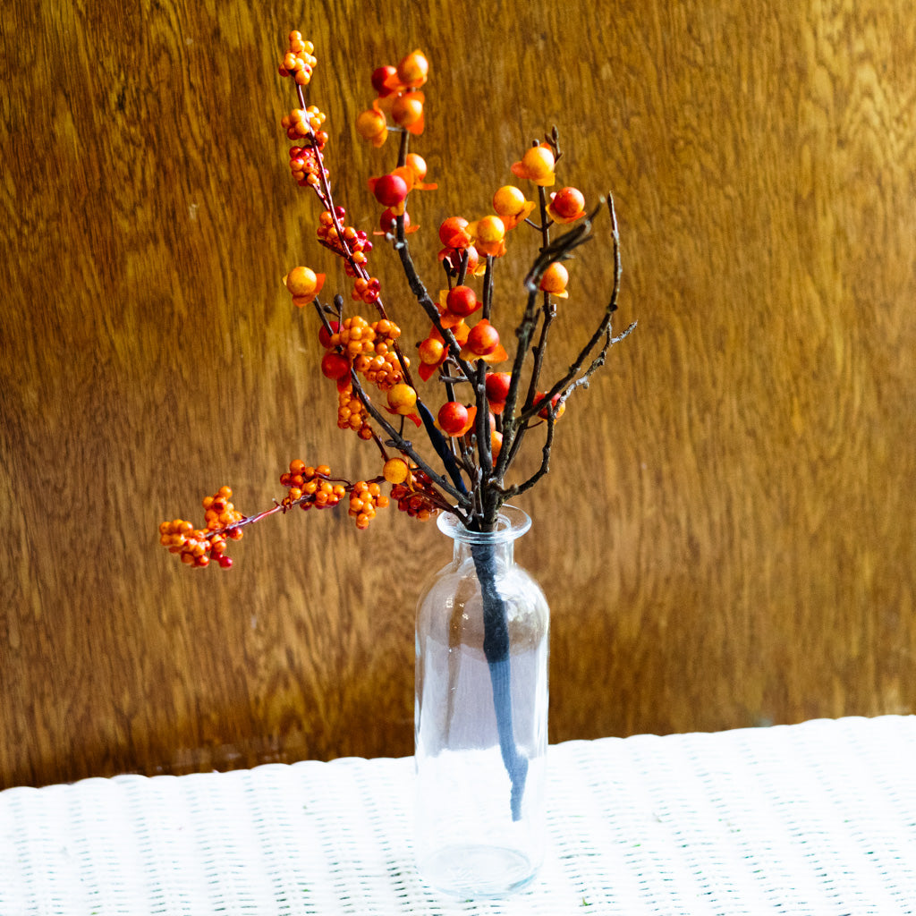 Bittersweet and Twig Mini Branches Designs