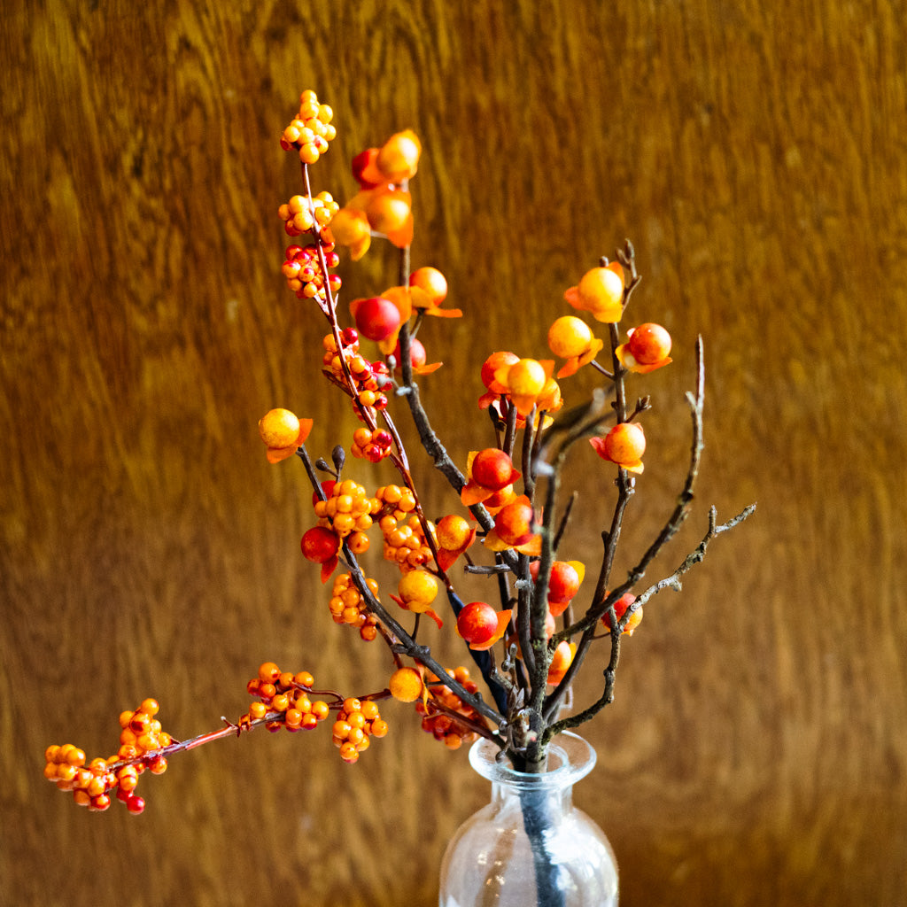 Bittersweet and Twig Mini Branches Designs