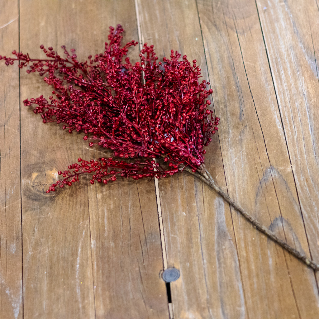 Swedish  Red Pepperberry Pick Branches Designs