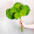 Fan Palm Leaf Bundle Real Touch Branches Designs