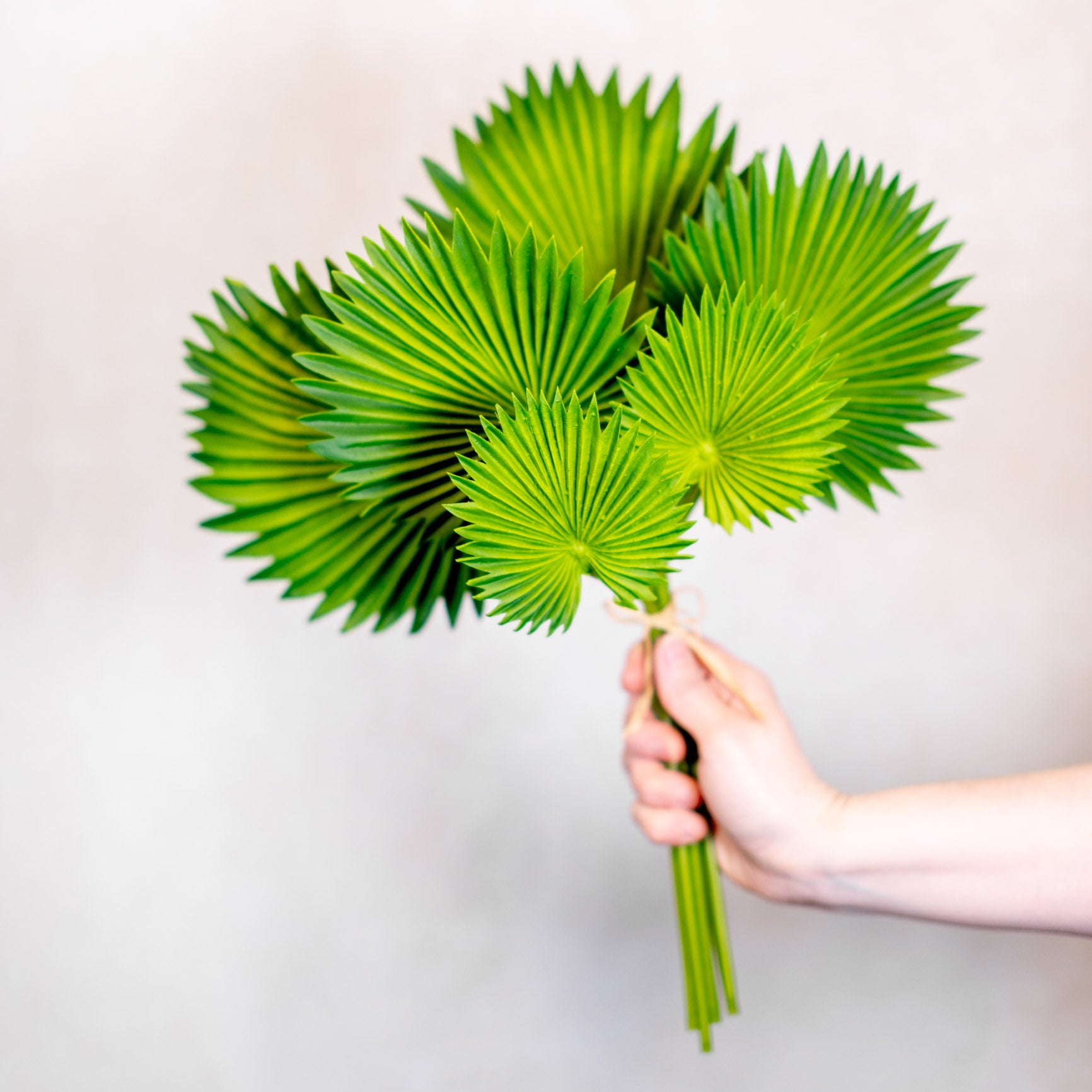 Fan Palm Leaf Bundle Real Touch Branches Designs