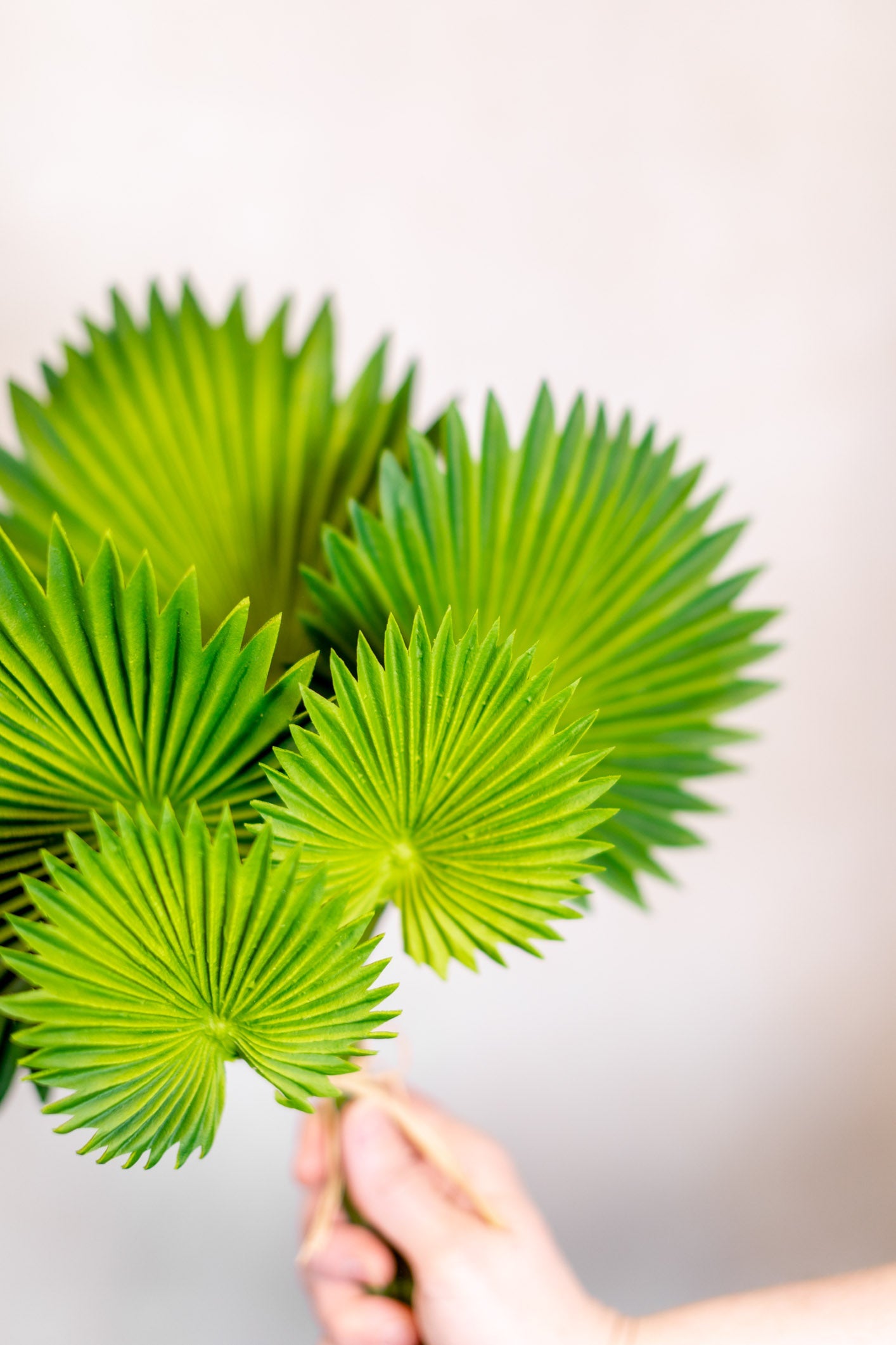Fan Palm Leaf Bundle Real Touch Branches Designs