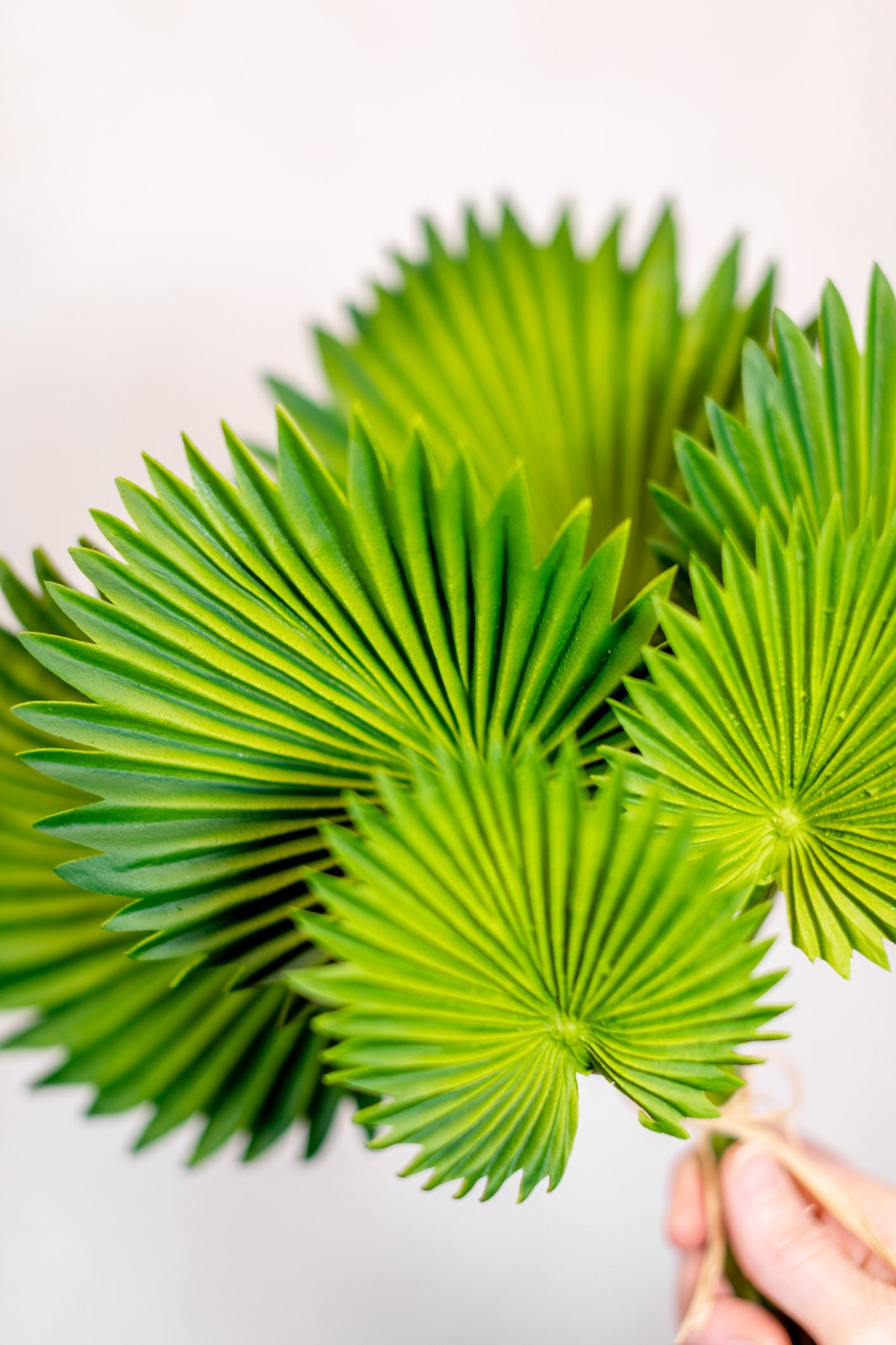 Fan Palm Leaf Bundle Real Touch Branches Designs