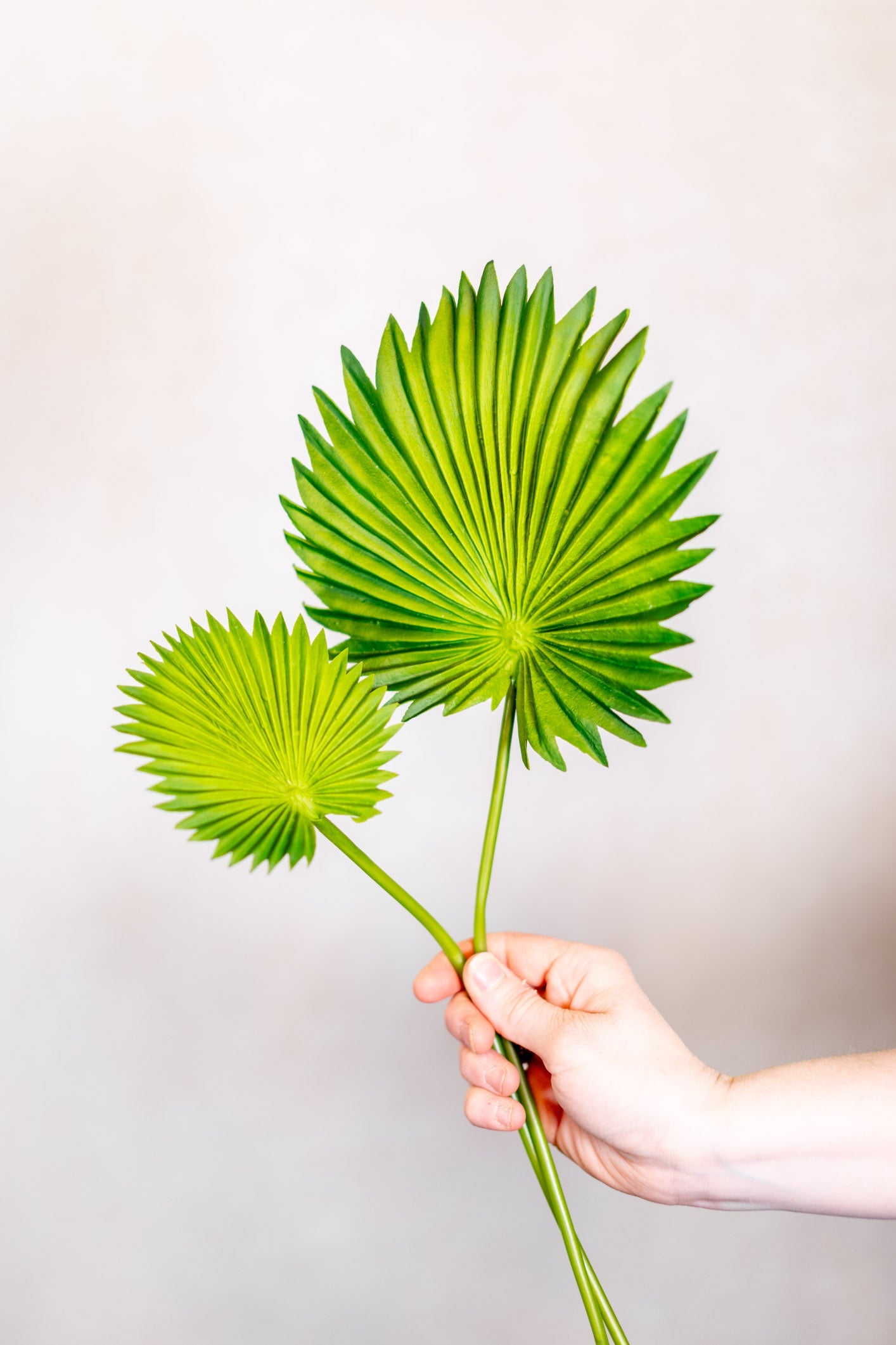 Fan Palm Leaf Bundle Real Touch Branches Designs
