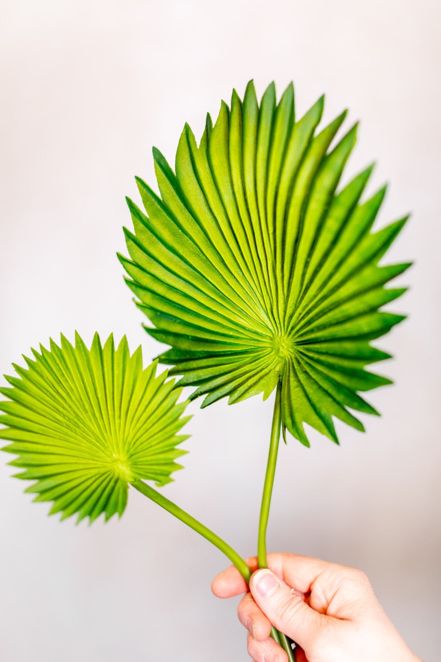 Fan Palm Leaf Bundle Real Touch Branches Designs