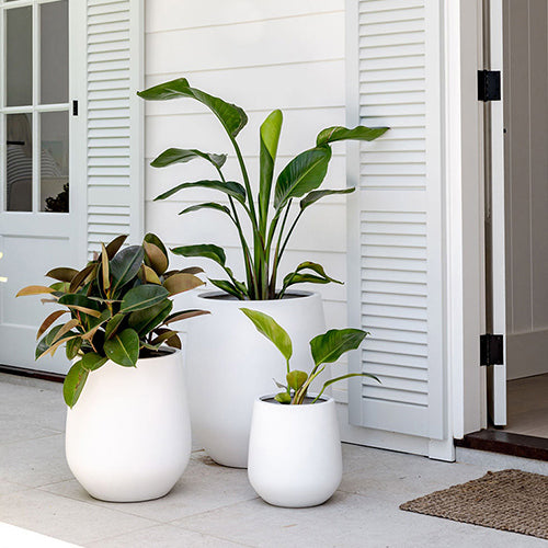 JITT The Balcony Garden US