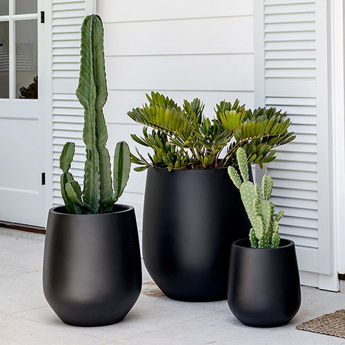 JITT The Balcony Garden US