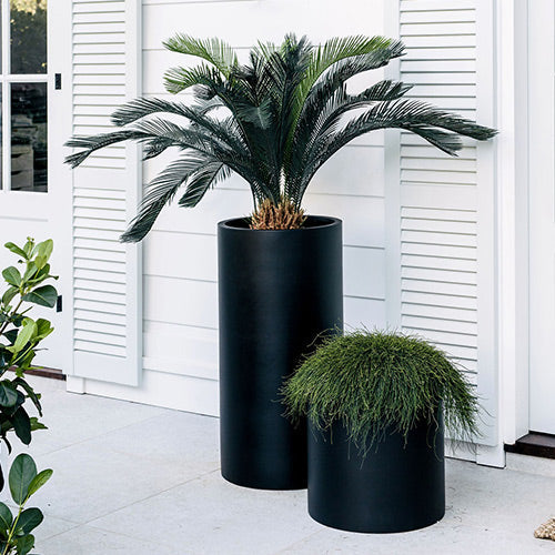 Loob The Balcony Garden US