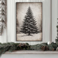 Vintage Christmas Tree Wall Art III Tailored Canvases