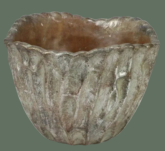 Cement Root Pot 6.25"H
