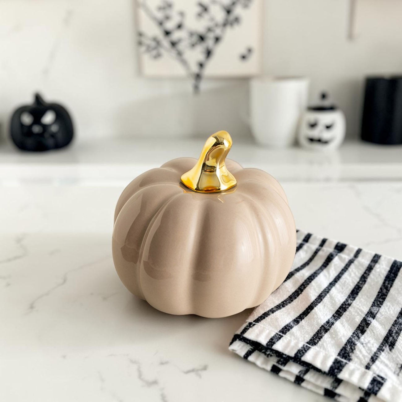 Pastel Pumpkins Gia Roma