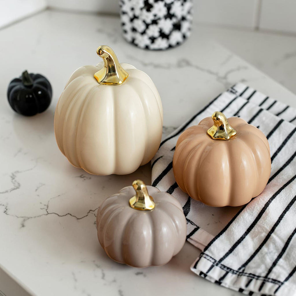 Pastel Pumpkins Gia Roma