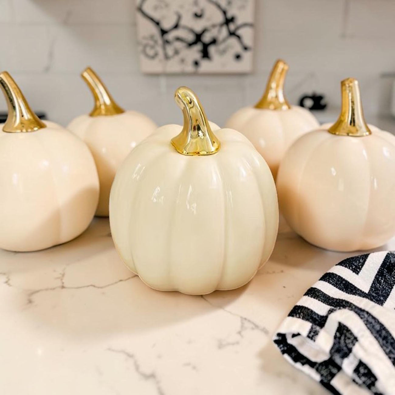 Pastel Pumpkins Gia Roma