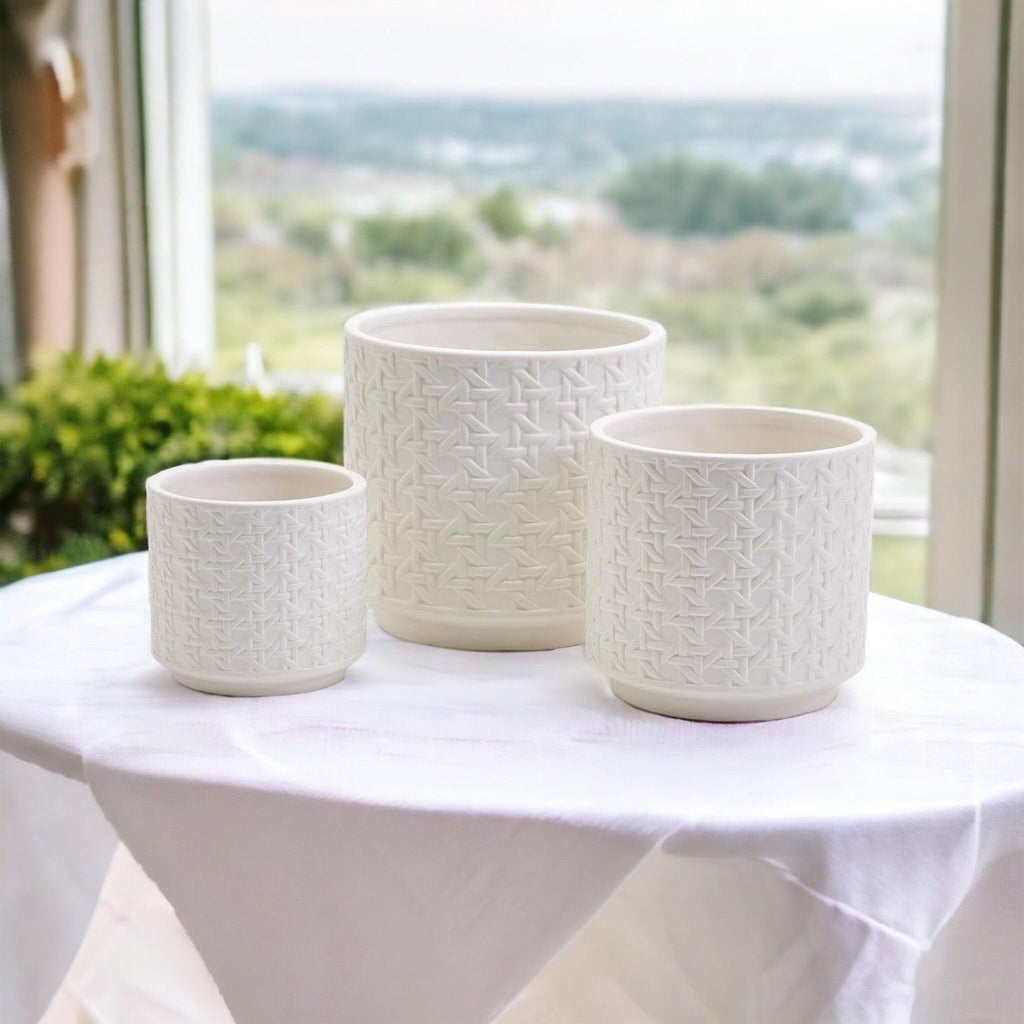Webbing Planters Gia Roma