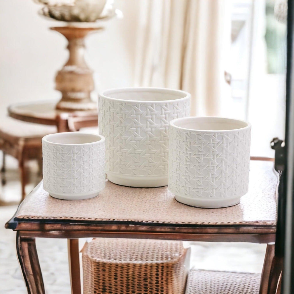 Webbing Planters Gia Roma