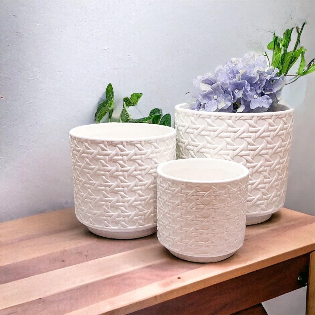 Webbing Planters Gia Roma