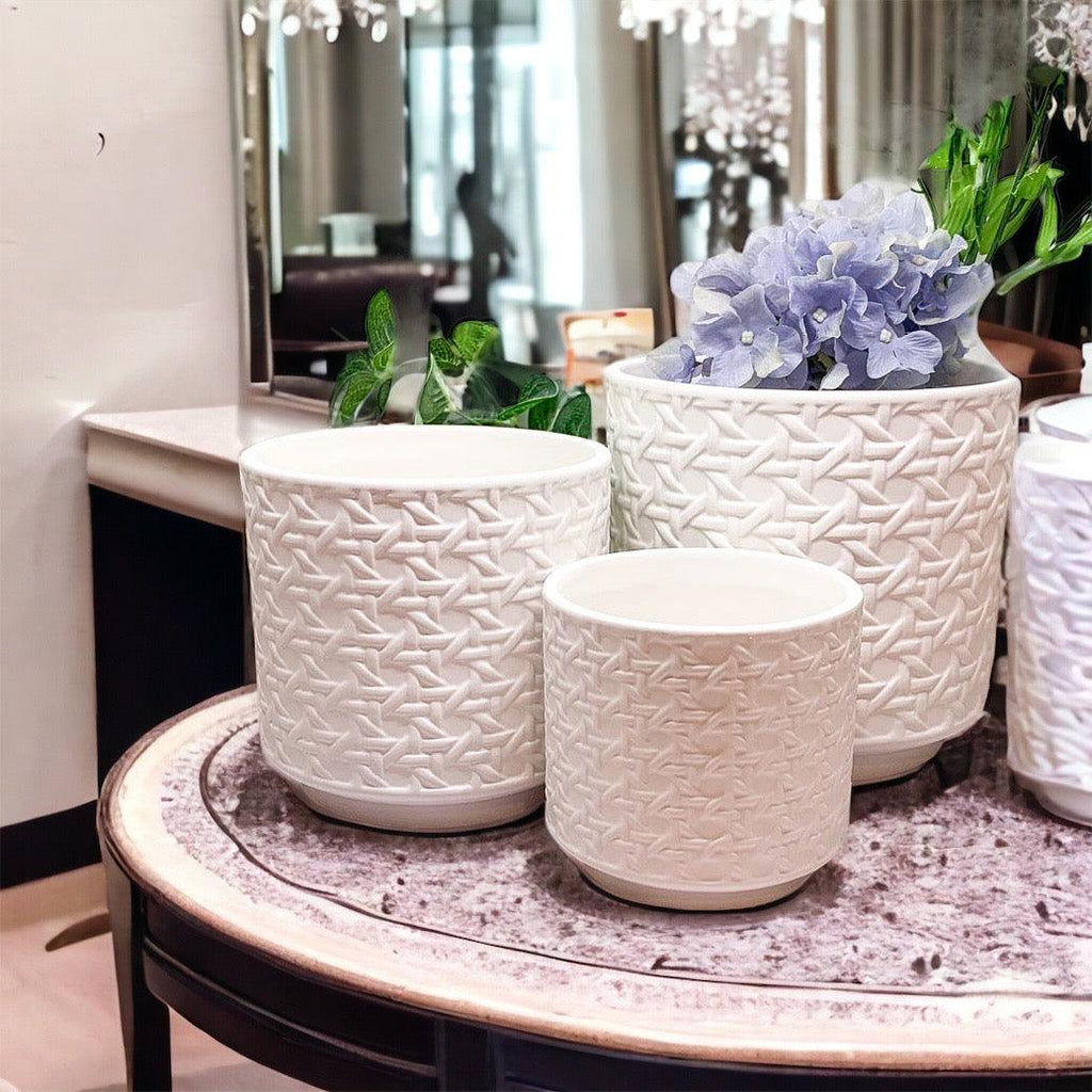 Webbing Planters Gia Roma