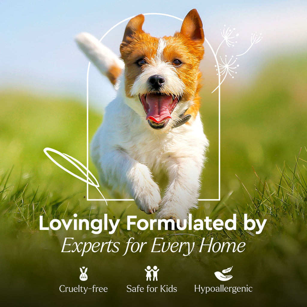 Pet Stain & Odor Remover Puracy