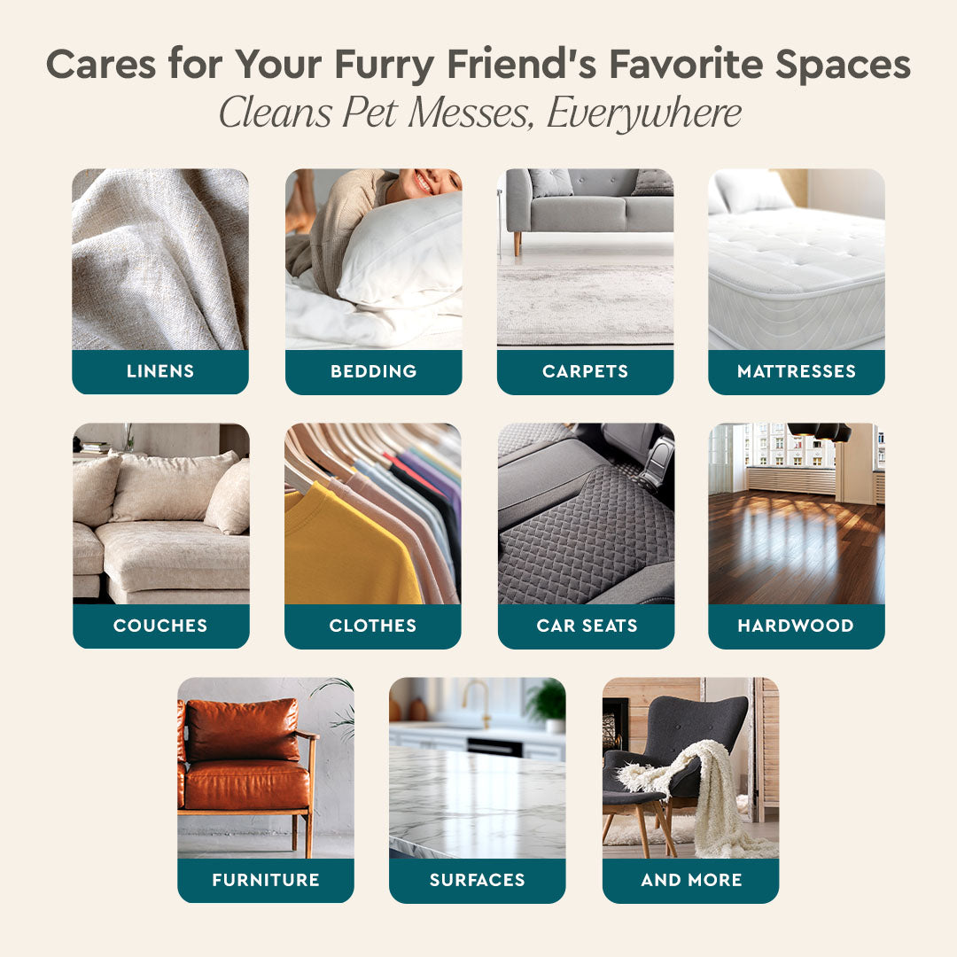 Pet Stain & Odor Remover Puracy