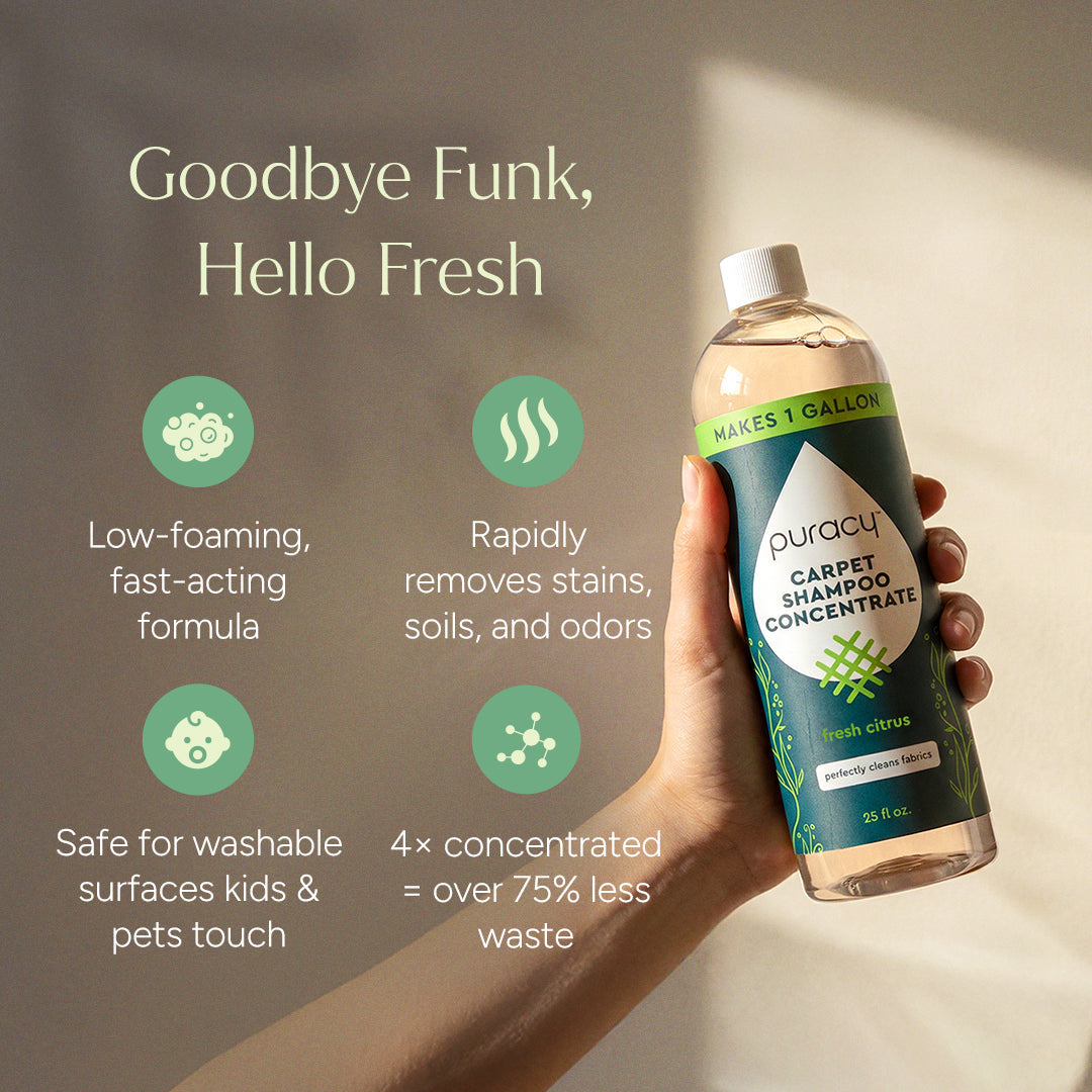 Carpet & Upholstery Shampoo Puracy