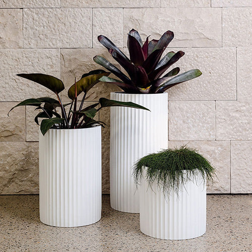 Ribbed Loob The Balcony Garden US