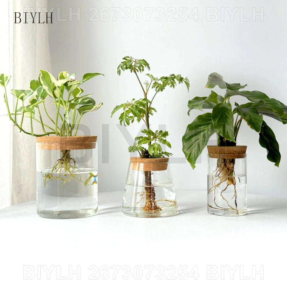 Nordic Volcanic Glass Vase Hydroponic Tabletop | Aurelia DECORBITES