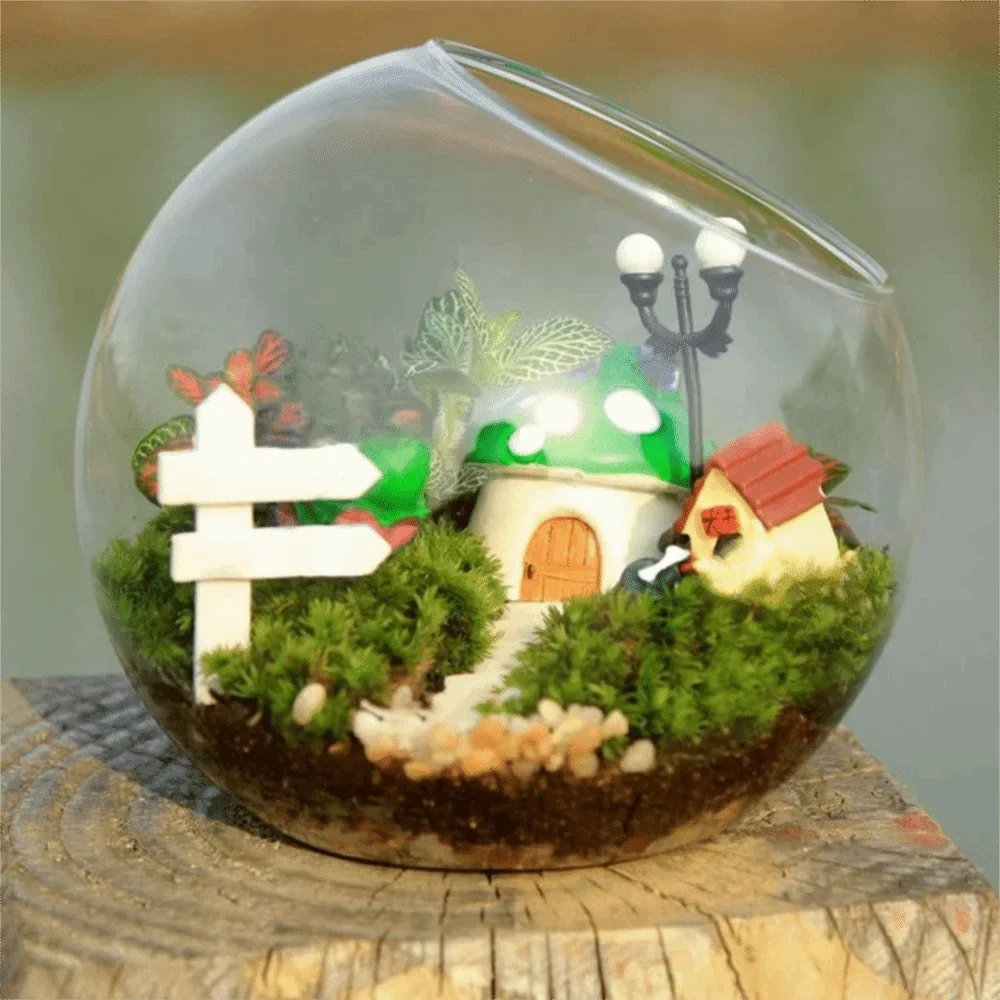 Clear Glass Ball Succulent Terrarium DECORBITES