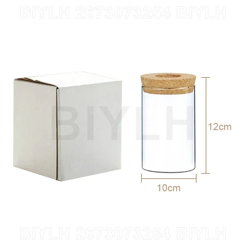 Nordic Volcanic Glass Vase Hydroponic Tabletop | Aurelia DECORBITES